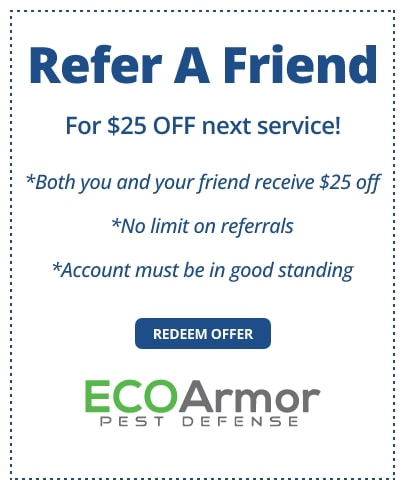 Refer a Friend