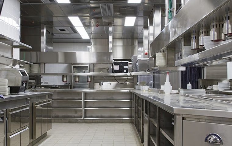 Do I Need Commercial Pest Control In McKinney, TX?