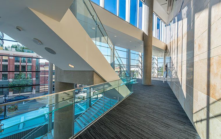 Bugs, Rodents, And Business: A Practical Guide To Commercial Pest Solutions In McKinney