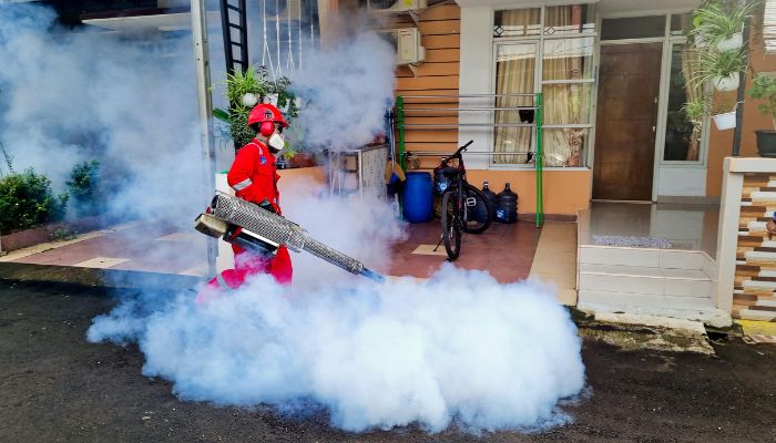 mosquito control Service in Allen