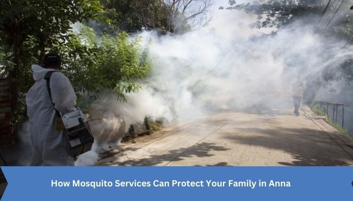 How Mosquito Services Can Protect Your Family in Anna